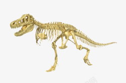 远古生物霸王恐龙全身完整骨架化石实物高清图片