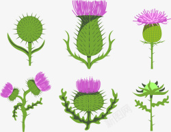 花的成长周期图带刺的花矢量图高清图片