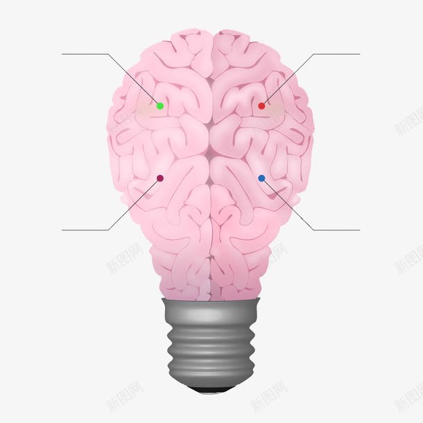 灯泡形状的脑子构造png免抠素材_88icon https://88icon.com 创意 粉色 脑子 设计