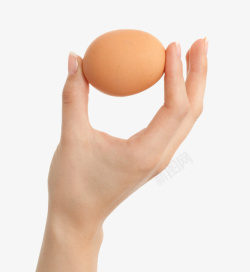 褐色鸡蛋手捏着的初生蛋实物素材