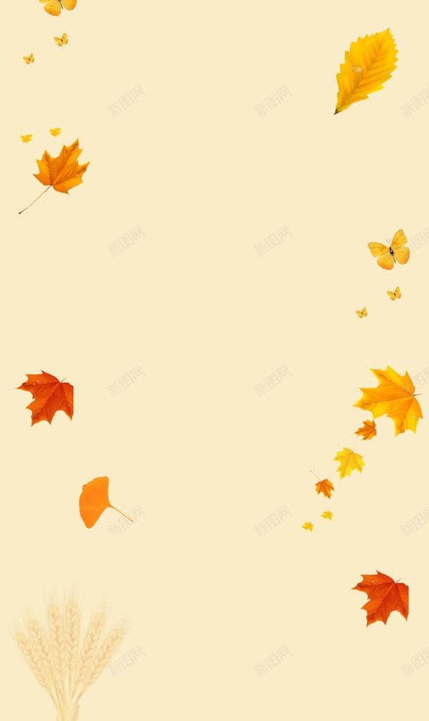 化妆品促销背景psd免抠素材_88icon https://88icon.com 化妆品促销背景 秋季 落叶 补水化妆品背景