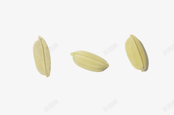 黄色水稻米粒png免抠素材_88icon https://88icon.com 大米 有机大米 有機大米 水稻 米粒 粮食 黄色