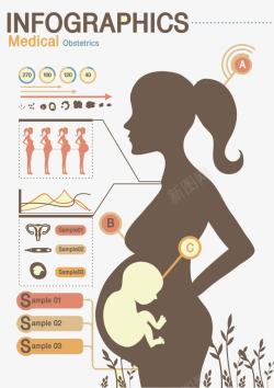 孕妇肚子里的胎儿素材