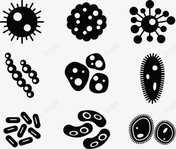 九种菌群png免抠素材_88icon https://88icon.com 九种 微生物 显微镜 真菌 细菌 群体 菌群