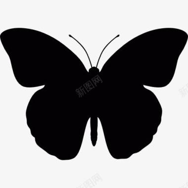 昆虫设计蝴蝶图标图标