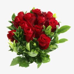 一束红色玫瑰花装饰素材