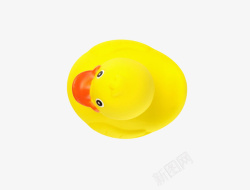 丑小鸭黄色玩具俯视角度的橡胶鸭实物高清图片