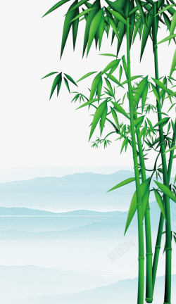 竹子节节高翠绿的竹子高清图片