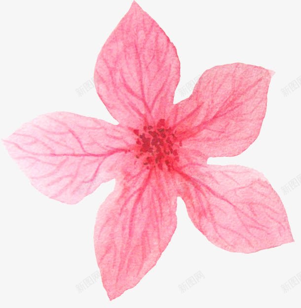 粉红色清晰纹理花朵png免抠素材_88icon https://88icon.com 娇艳 清晰纹理 粉红色 红色花蕊 芬芳 花朵