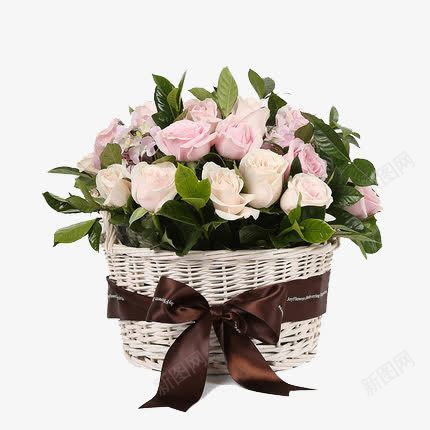 一篮子白玫瑰png免抠素材_88icon https://88icon.com 玫瑰 生日花 生日花篮 白玫瑰 礼盒 鲜花