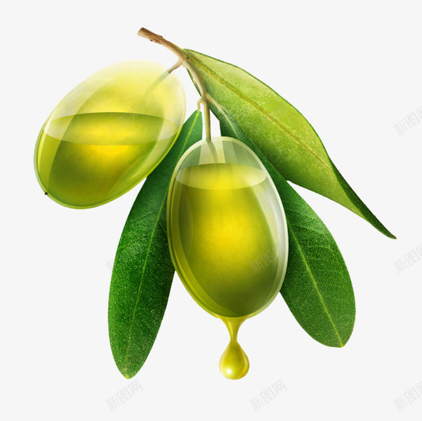 晶莹剔透的橄榄png免抠素材_88icon https://88icon.com 植物 橄榄 橄榄油 绿植 绿色