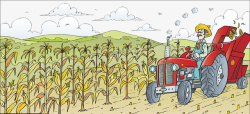 农地插画卡通玉米农地收割插画高清图片