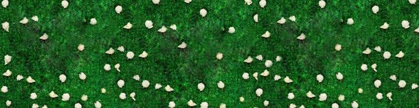 广告图淘宝女装bannerjpg设计背景_88icon https://88icon.com 天猫首页 淘宝 花墙