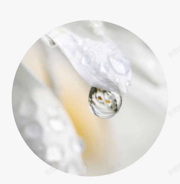 白露二十四节气清新白水珠png免抠素材_88icon https://88icon.com 二十四节气 水珠 清新 白水珠 白露 白露二十四节气清新白水珠 节气