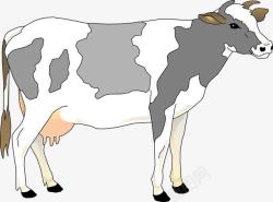 牛奶与农场农场奶牛高清图片