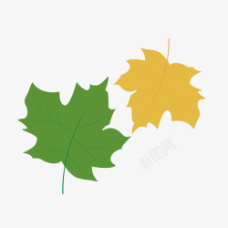 绿色的枫叶两片黄色绿色扁平化唯美枫树叶子矢量图高清图片