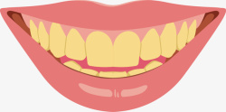 黄色牙齿整齐门牙矢量图素材