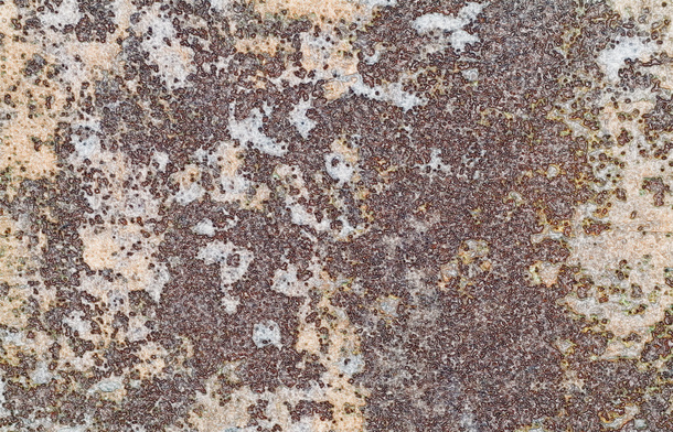 红褐色杂乱复古斑驳铁锈纹理png免抠素材_88icon https://88icon.com 仿古 古旧 块状 沧桑 细碎 裂纹 褐红色 金属 铁锈纹理