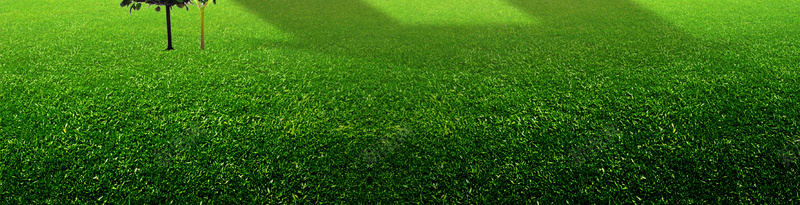 绿色空间海报背景jpg设计背景_88icon https://88icon.com 树木 爱护环境 环保意识 生态环境 绿色家园 绿色空间图片下载 自然风光 花藤 蓝天白云 蝴蝶