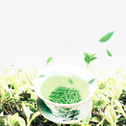 茶杯海报设计绿色创意春茶新品海报背景高清图片