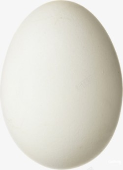 蛋白质实物鸭蛋高清图片