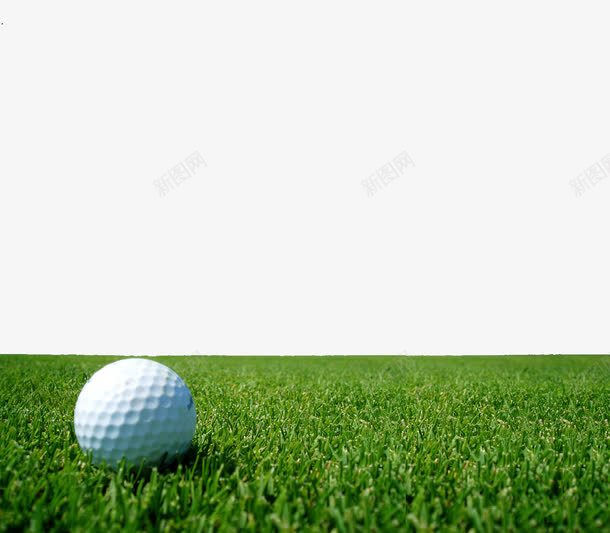 草坪上的高尔夫球png免抠素材_88icon https://88icon.com 竞技 草坪 运动 高尔夫球 高尔夫球场