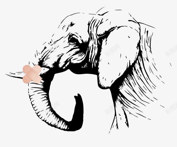 大象受伤png免抠素材_88icon https://88icon.com 保护动物 公益 受伤 大象 广告 抵制象牙制品 拒绝卡通 拒绝象牙制品 没有买卖就没有伤害 爱护动物 象牙制品