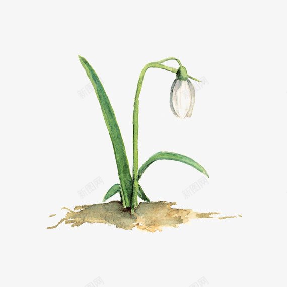 枯萎的小草png免抠素材_88icon https://88icon.com 卡通 小花 小草 手绘 枯萎 绿色植物