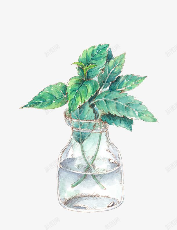 卡通手绘插水瓶的绿色植物png免抠素材_88icon https://88icon.com 卡通 手绘 水瓶 绿叶 绿色植物