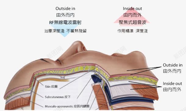 肌肤组织结构图png免抠素材_88icon https://88icon.com 人体结构 医疗 肌肤组织 脸部皮肤问题