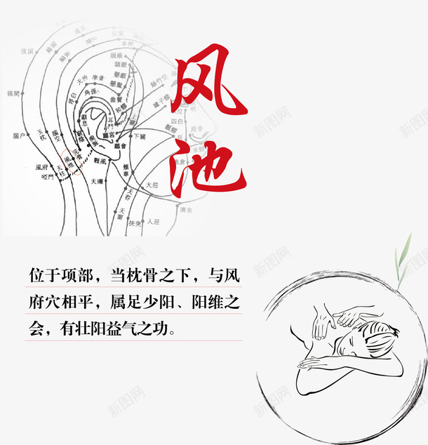 手绘人体头部经络矢量图ai免抠素材_88icon https://88icon.com 人体经络 人体经脉图 人体设计 十二 卡通设计 头部 手绘设计 矢量图 经络图 背部