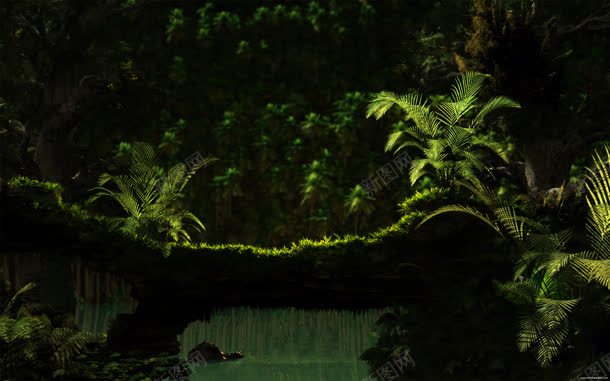 青苔植物jpg设计背景_88icon https://88icon.com 植物 青苔