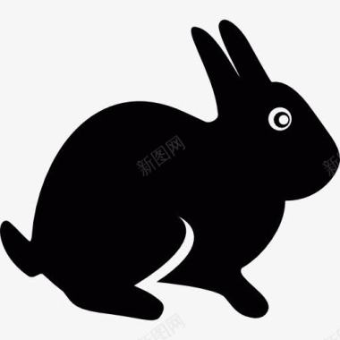 兔子复活节兔子图标图标