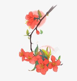红色海棠花树枝素材