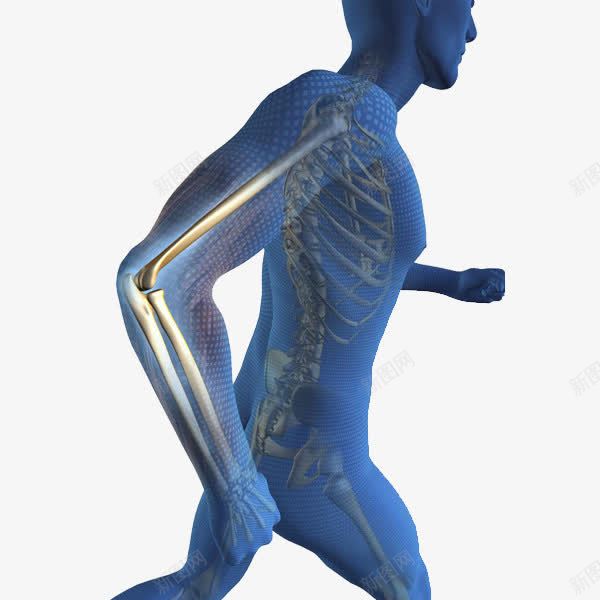 医疗保健png免抠素材_88icon https://88icon.com 关节 手臂 膝盖 解析图 骨骼
