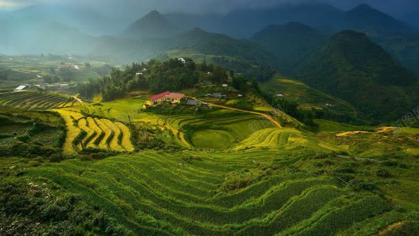越南绿色梯田美景背景