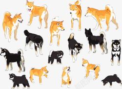 16款彩绘日本四国犬和柴犬素材
