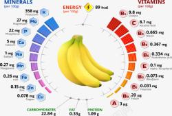 香蕉成分分析图表素材