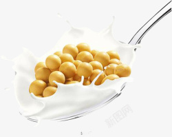 黄豆牛奶金属勺子中有黄豆牛奶高清图片