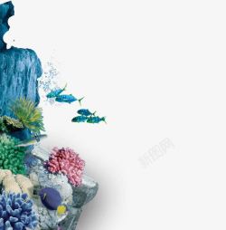美丽的热带鱼海底世界美丽珊瑚高清图片