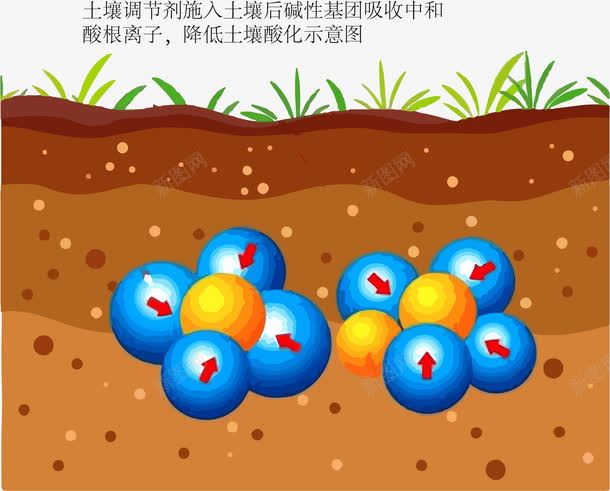 卡通肥料在土壤中调节酸碱度示意png免抠素材_88icon https://88icon.com 分子 卡通 卡通肥料 卡通肥料在土壤中调节酸碱度示意图免费下载 土壤 基团 植物 碱性 肥料 调节土壤酸碱度示意图 颗粒