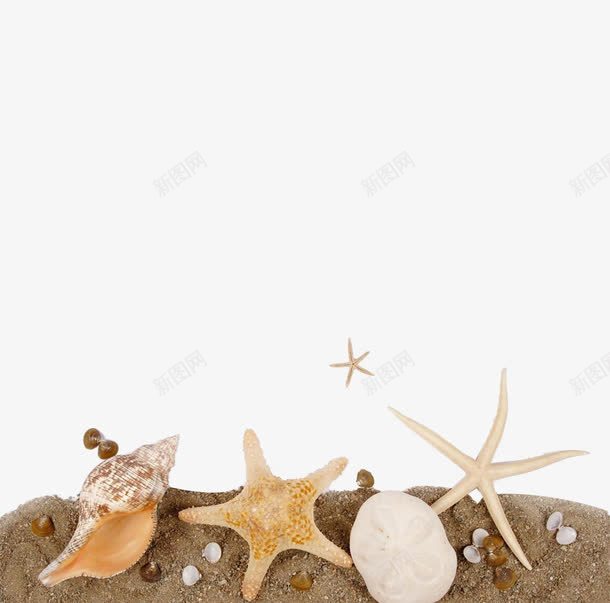 我会给你所有海岛上的东西png免抠素材_88icon https://88icon.com 沙滩 沙粒 海岛 海岛小船 海星 螃蟹 贝壳