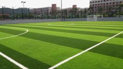 足球场草坪可适用于足球场素材