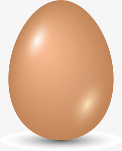 禽类蛋类新鲜的鸡蛋矢量图高清图片