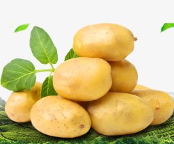 土豆绿叶蔬菜素材