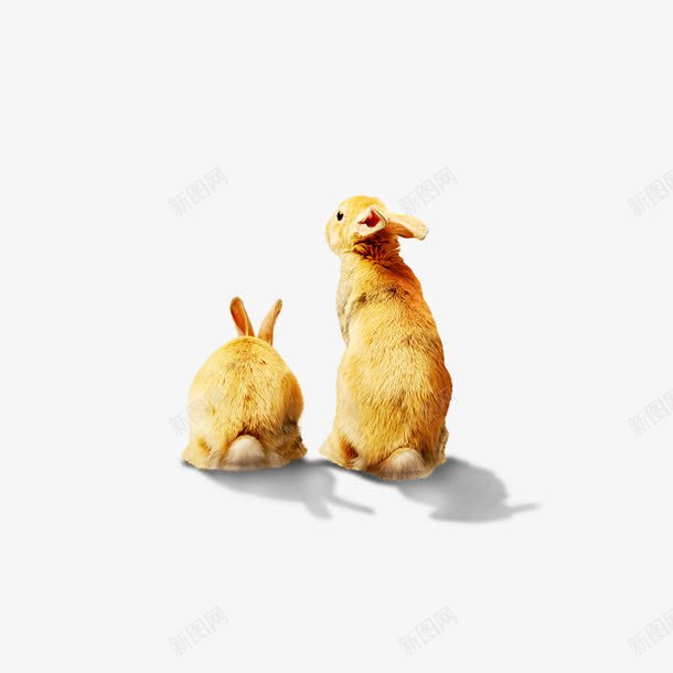 玉兔png免抠素材_88icon https://88icon.com 中秋节 嫦娥奔月 月亮