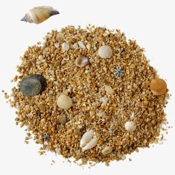 沙粒中的贝壳素材