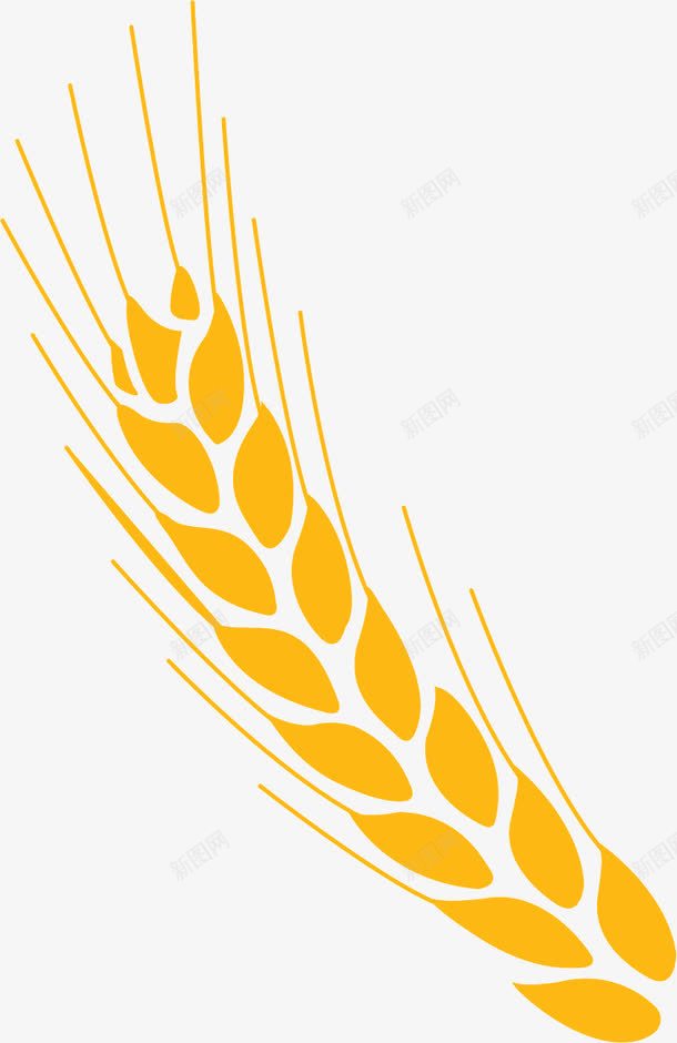 麦穗png免抠素材_88icon https://88icon.com 小麦 金色小麦 麦穗
