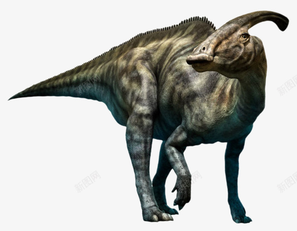 黑色斑点的副栉龙灭绝生物实物png免抠素材_88icon https://88icon.com 凶残 凶狠 动物 斑驳 死亡 殆尽 消失 灭亡 灭绝生物 爬行动物 物种 生命体 绝种 集合