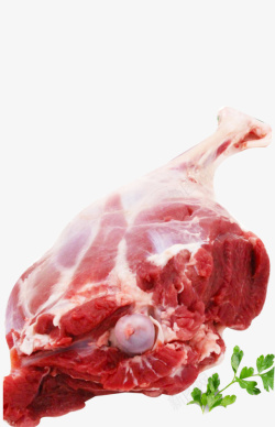 新鲜肉食新鲜的羊腿实物图高清图片